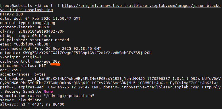 Terminal output of curl requests to a static asset under /services or /images showing CF-Cache-Status HIT and appropriate cache headers.